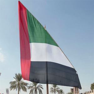 Flag Day celebrations around the UAE