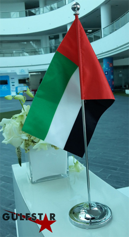 office indoor flag in dubai